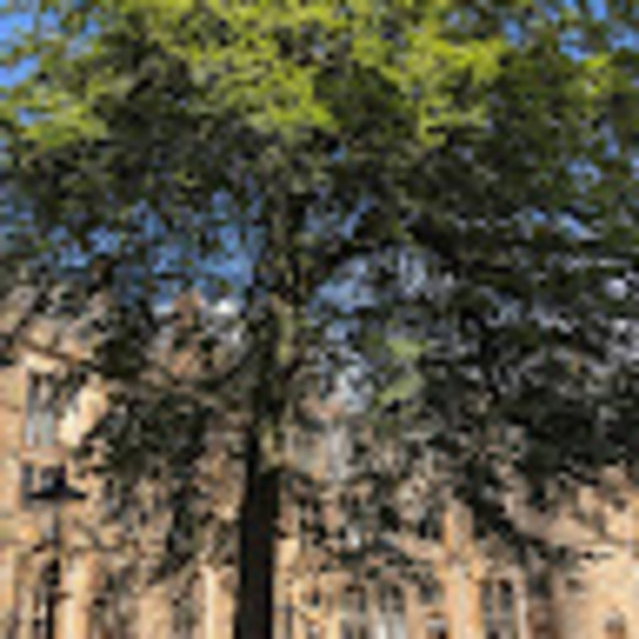 Meet your Posher, Jen - Picture 1 of 1